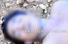 Bantwal: Youth meets watery grave in Netravathi River